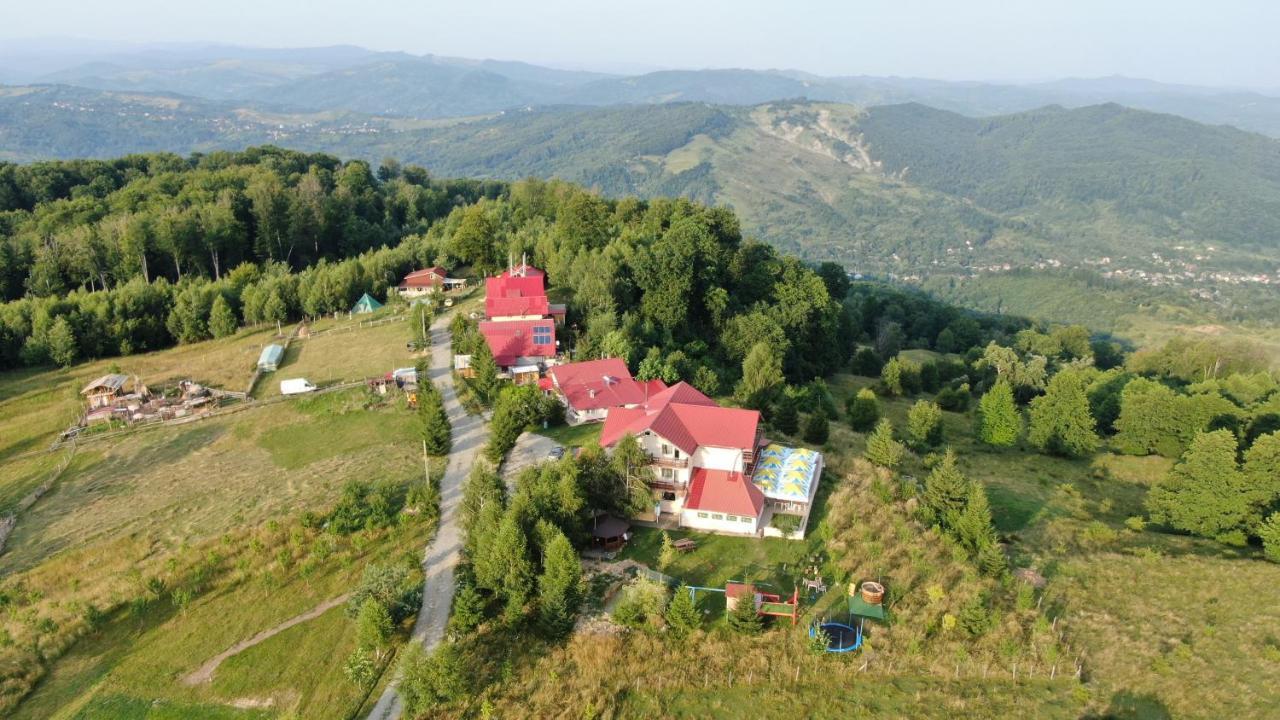 Pensiune Runcu Stone Экстерьер фото