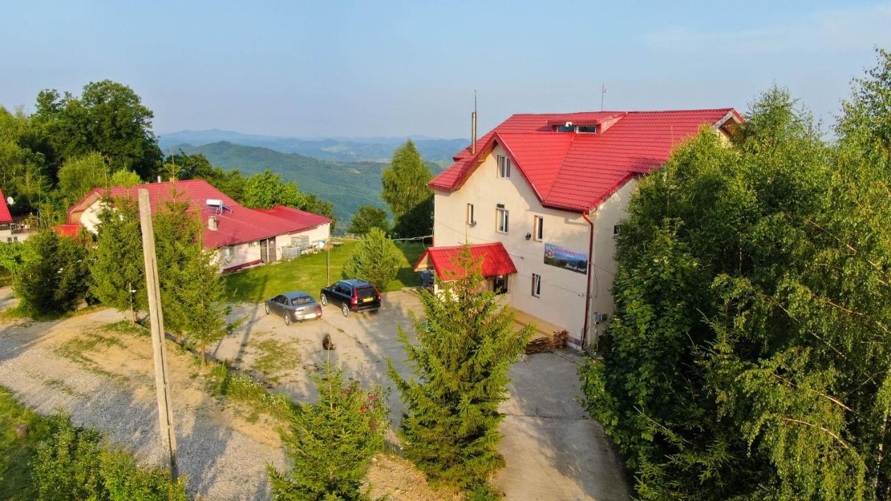 Pensiune Runcu Stone Экстерьер фото