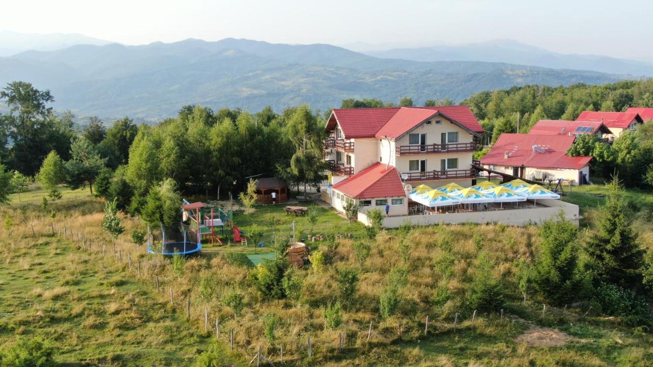 Pensiune Runcu Stone Экстерьер фото